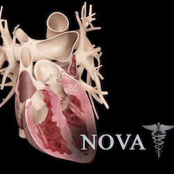 Heart Pro III for Mac v3.0 英文破解版 3D心脏模型软件-mac大神