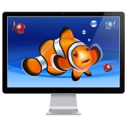 Desktop Aquarium Wallpapers for Mac v3.3.0 英文破解版 水族馆动态壁纸-mac大神