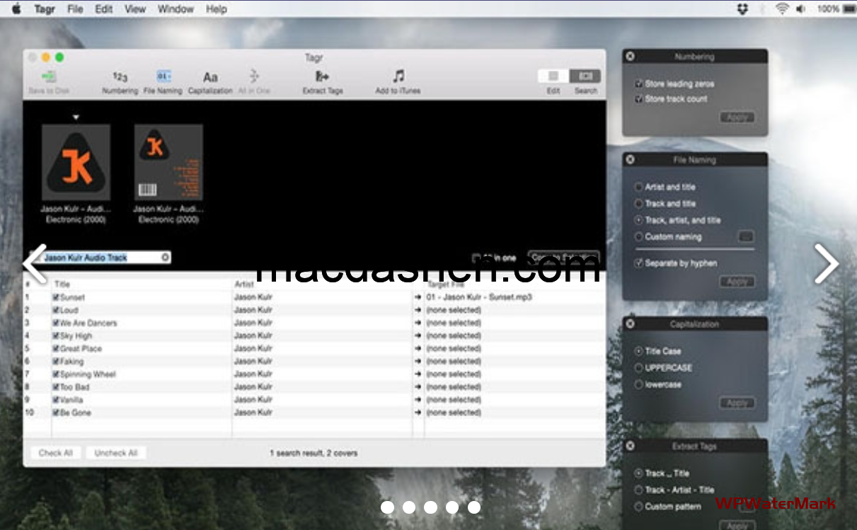 Tagr 音乐元数据编辑工具 Mac版 苹果电脑 Mac软件-mac大神